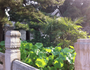 Bildschirmfoto 2013-12-28 um 23.06.25