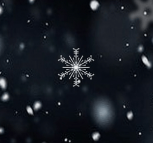 bildschirmfoto-2016-11-25-um-20-15-38