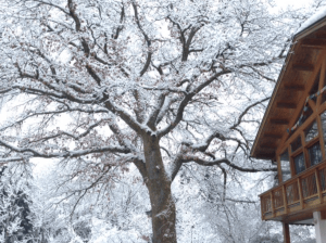 RiederalpÜbungsraum