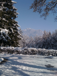 Übungsplatz Riederalp